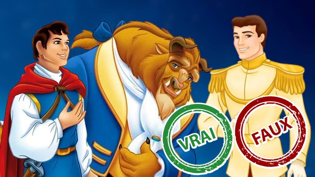 Disney Impossible Davoir Ce Quiz Vrai Ou Faux Sur Les Princes