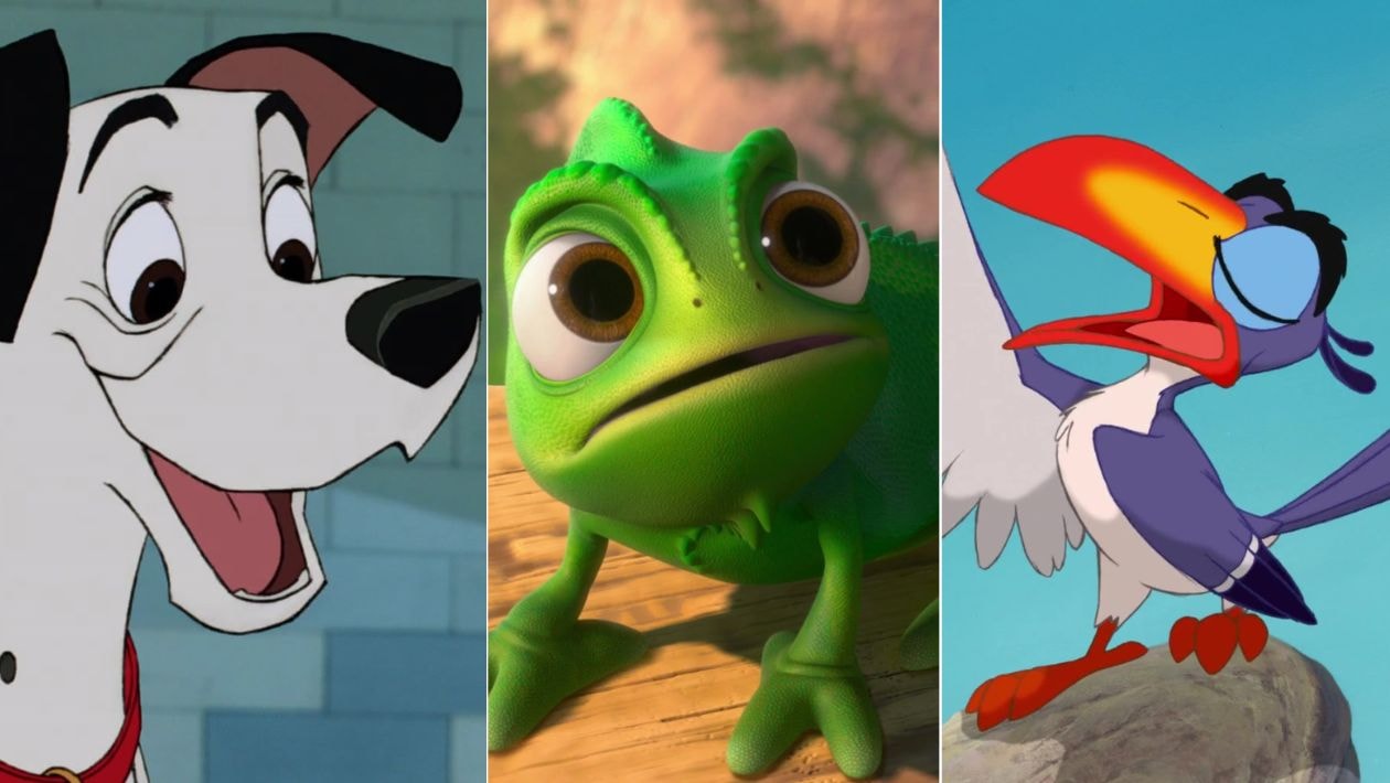 Quiz Disney Seul Un Vrai Fan Saura Nommer Ces 10 Animaux