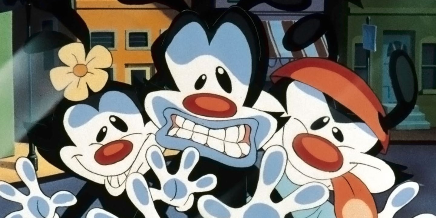 Un reboot des Animaniacs pourrait voir le jour !