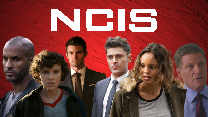 36 stars de séries qui sont passées par NCIS