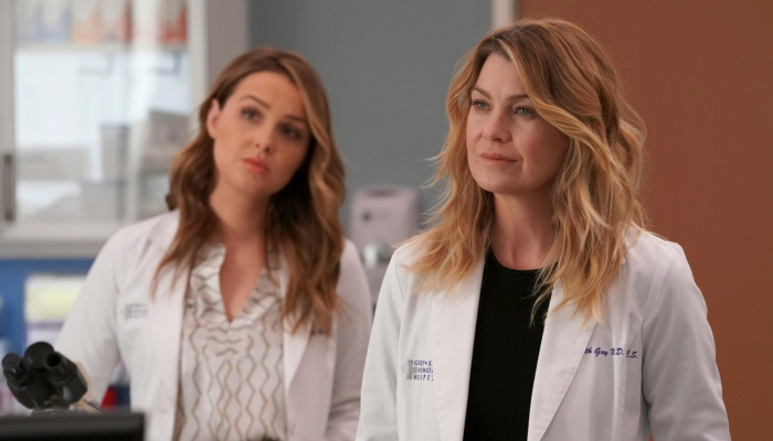 Grey&rsquo;s Anatomy : quand sera diffusée la saison 15 sur TF1 ?