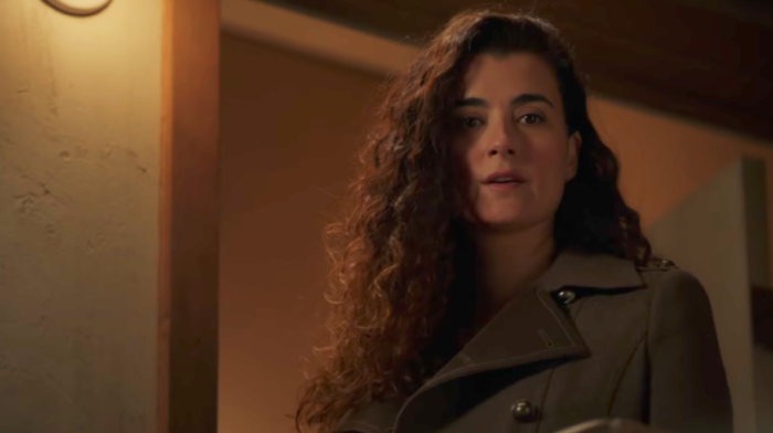 NCIS : cette théorie de fan veut que Ziva remplace Gibbs à la fin de la saison 17