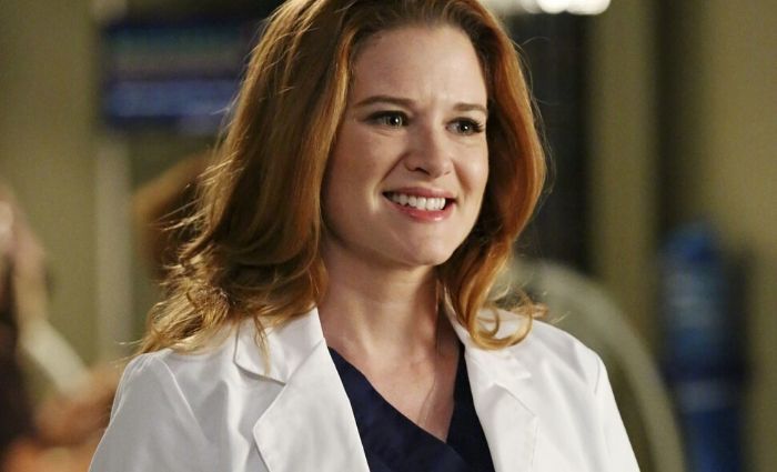 Grey&rsquo;s Anatomy : déjà un retour pour Sarah Drew dans le rôle d&rsquo;April ?