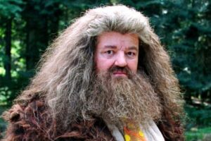 Harry Potter : le quiz le plus facile du monde sur Hagrid