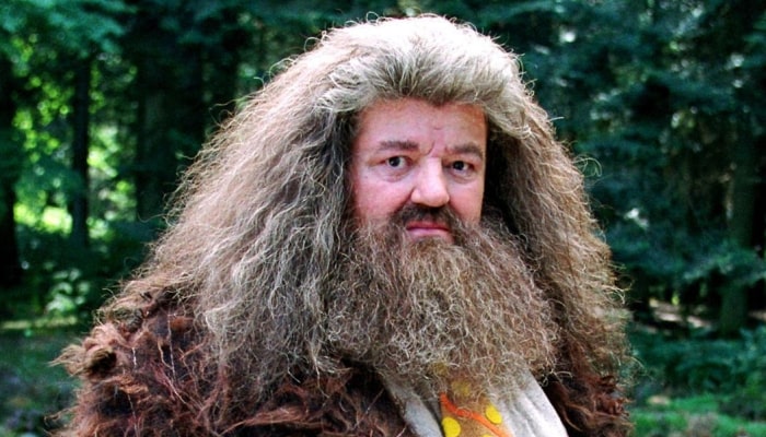 Harry Potter : le quiz le plus facile du monde sur Hagrid