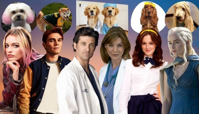 Top 17 des sosies de personnages de séries&#8230; version chiens !