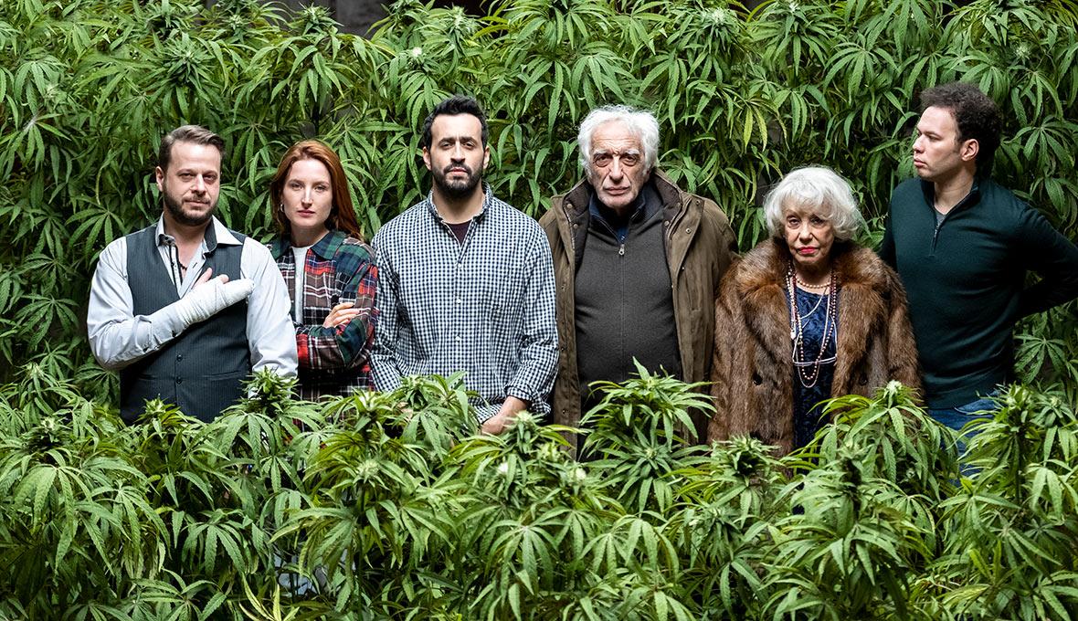 Naturicious, la nouvelle marque de CBD qui fait concurrence à Family Business