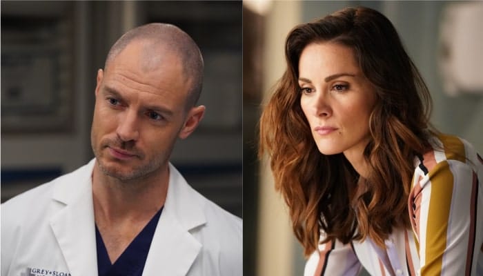 Grey’s Anatomy saison 17 : McWidow aura un rôle plus important, Carina quitte la série