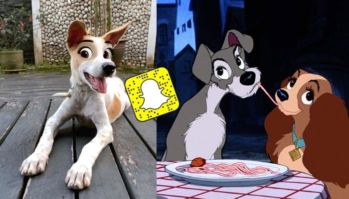 Un filtre Snapchat hilarant transforme votre chien en héros de Disney