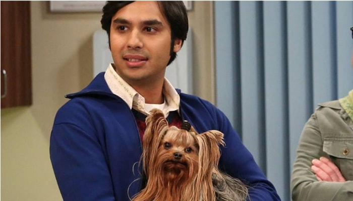 The Big Bang Theory : Kunal Nayyar défend la fin controversée de son personnage Raj