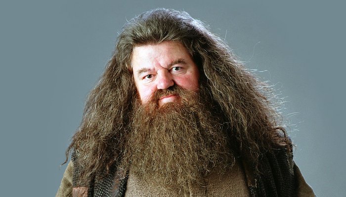 Harry Potter : le quiz le plus dur du monde sur Rubeus Hagrid