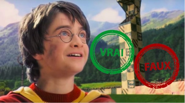 Impossible d&rsquo;avoir 10/10 à ce quiz Vrai ou Faux sur Harry Potter à l&rsquo;école des sorciers