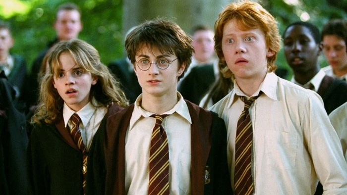 Harry Potter : mauvaise nouvelle ! TMC ne diffusera pas la suite de la saga, les fans sont déçus