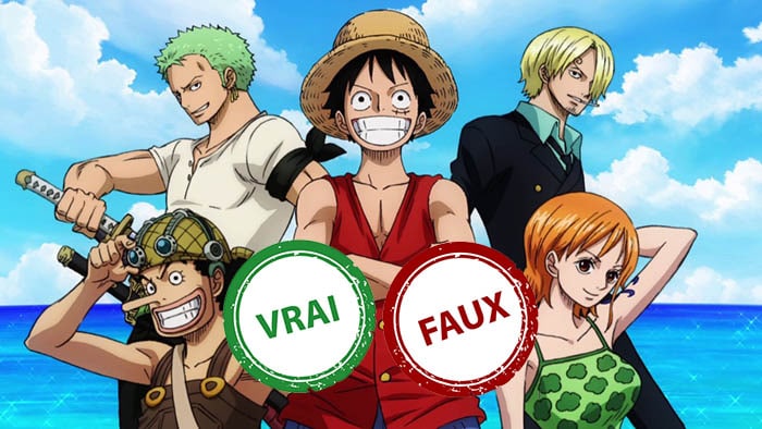 Quiz One Piece : impossible d&rsquo;avoir 10/10 à ce vrai ou faux sur l&rsquo;arc East Blue