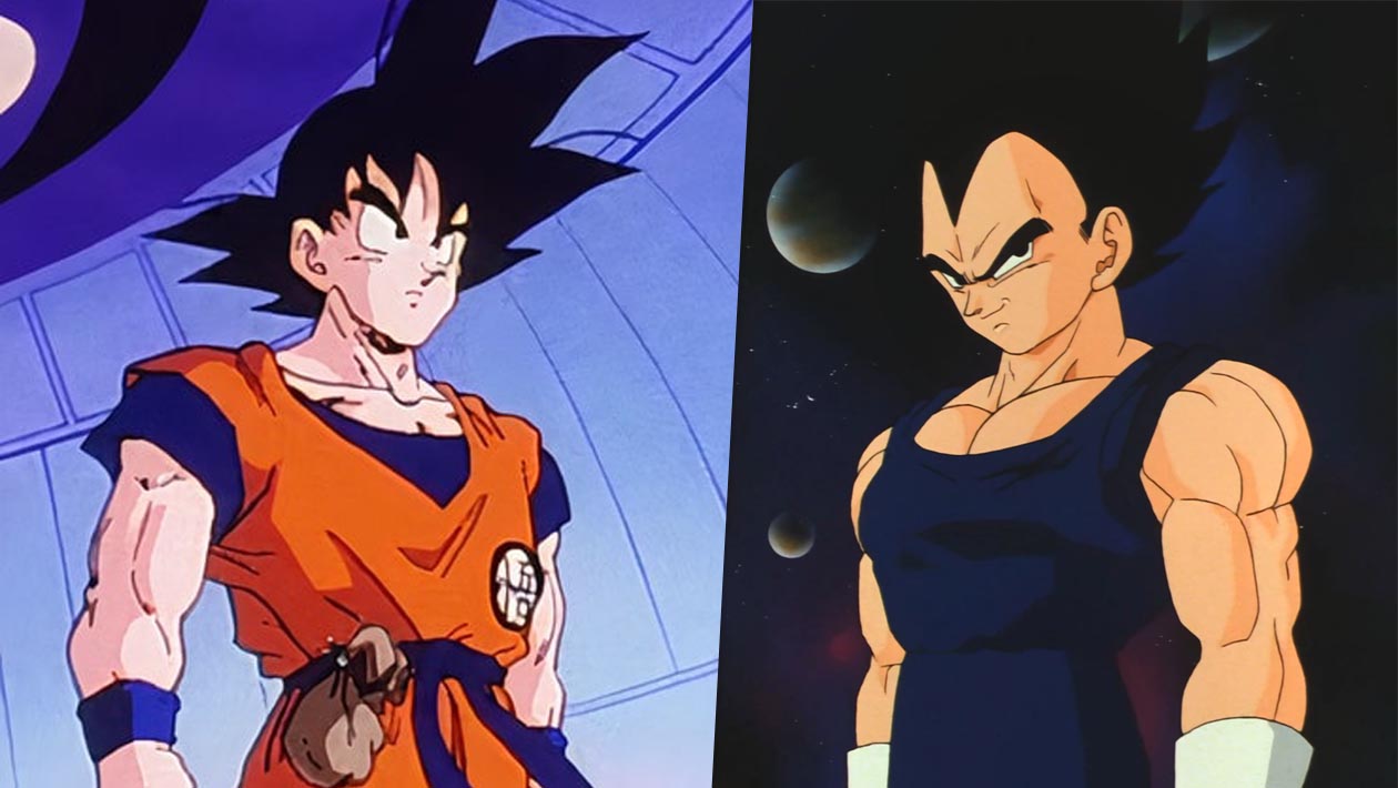 Sondage Dragon Ball Z : qui préfères-tu entre Goku et Vegeta ?