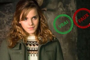 Harry Potter : impossible d&rsquo;avoir 10/10 à ce quiz vrai ou faux sur Hermione Granger