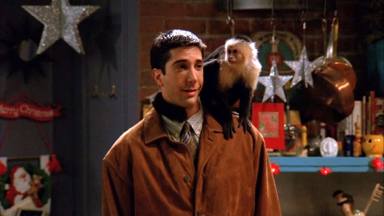 Friends : seul quelqu&rsquo;un qui a vu 5 fois l&rsquo;épisode de l&rsquo;arrivée de Marcel aura tout bon à ce quiz