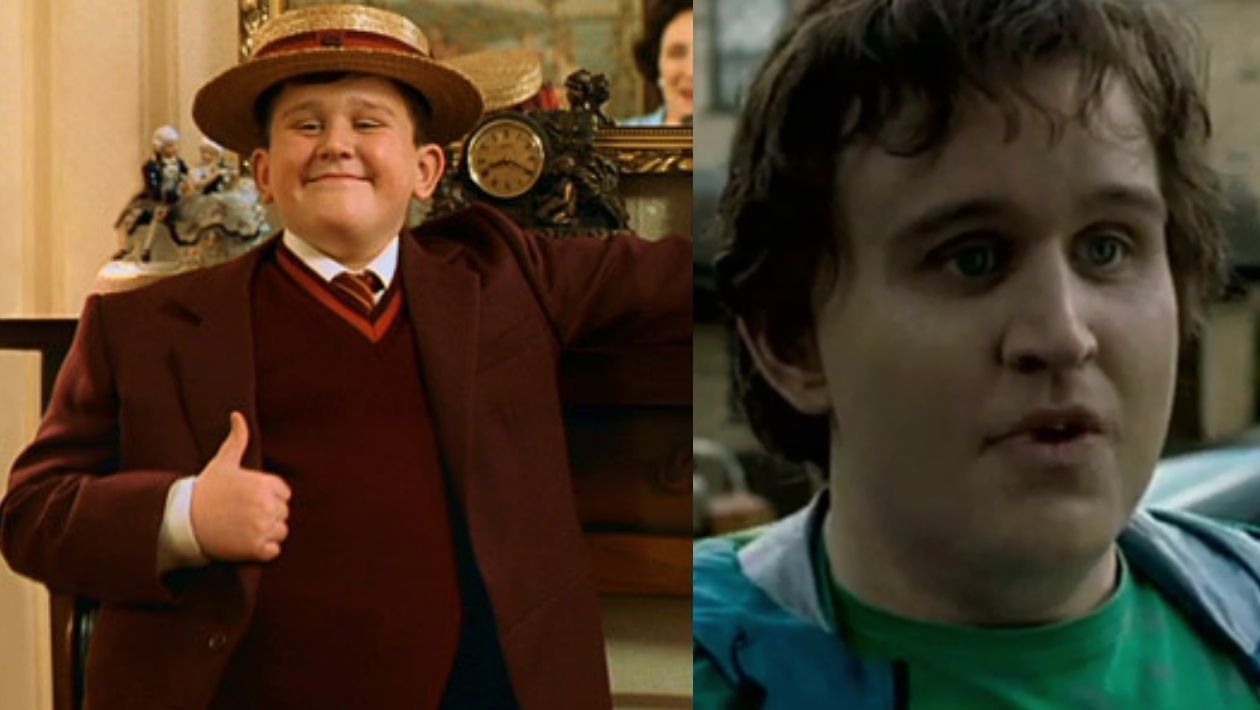 Le personnage de Dudley au début et à la fin de la saga Harry Potter