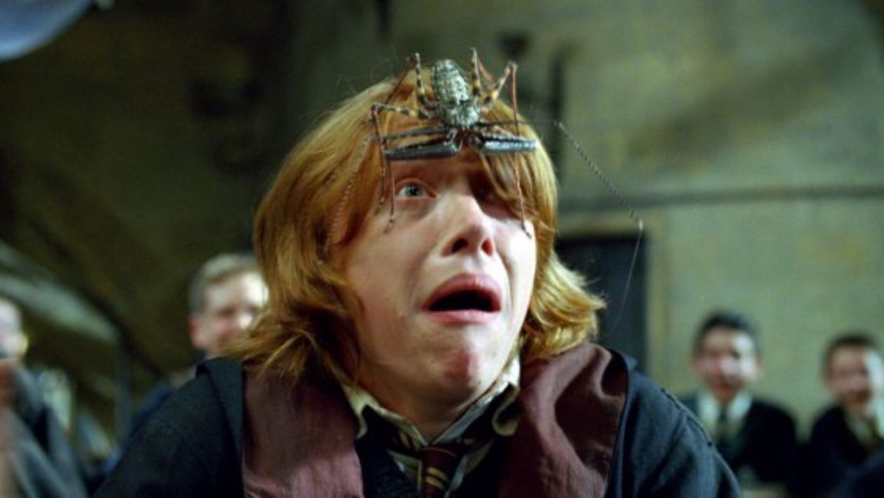 Ron Weasley, joué par Rupert Grint, dans Harry Potter et la Coupe de Feu