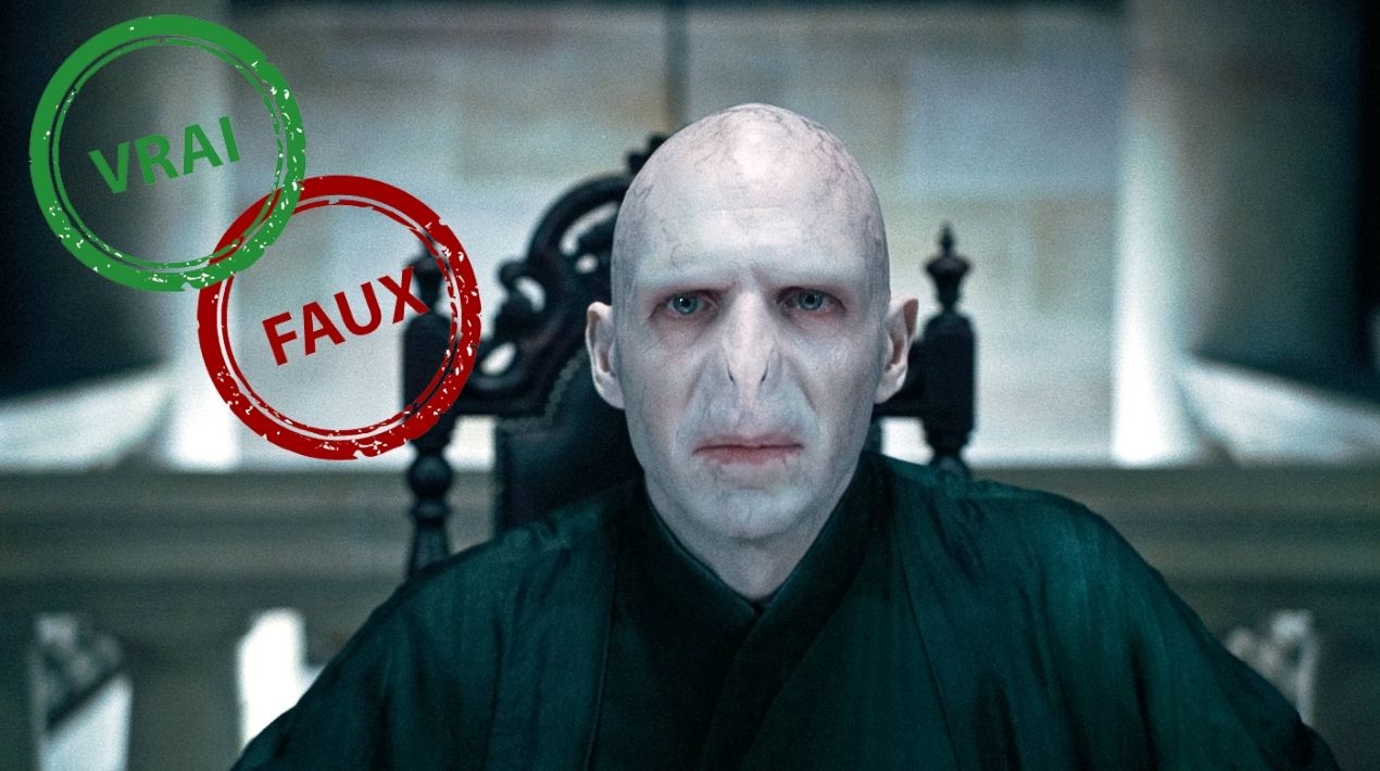 Harry Potter : seul un vrai fan aura 10/10 à ce quiz vrai ou faux sur Voldemort