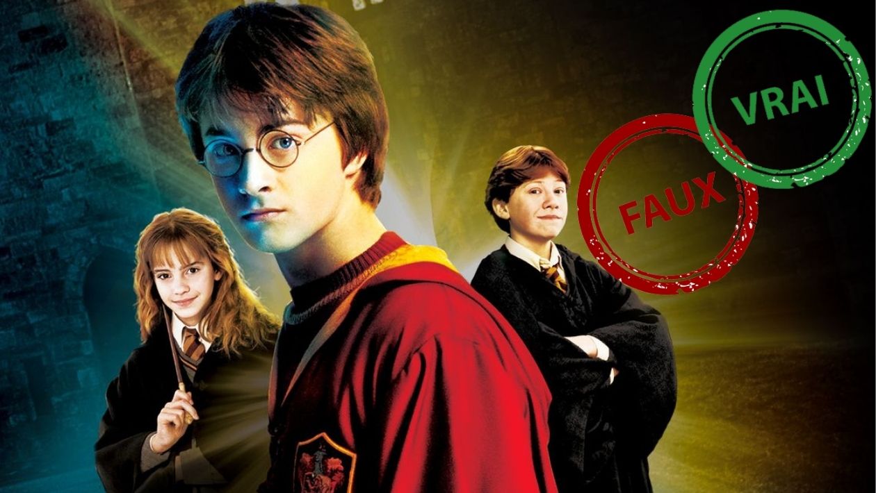 Impossible d’avoir 10/10 à ce quiz vrai ou faux sur Harry Potter et la Chambre des secrets