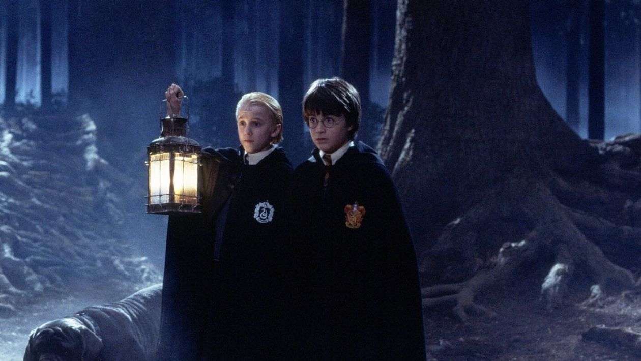 L'Experience de la Forêt Interdite d'Harry Potter: peut mieux faire