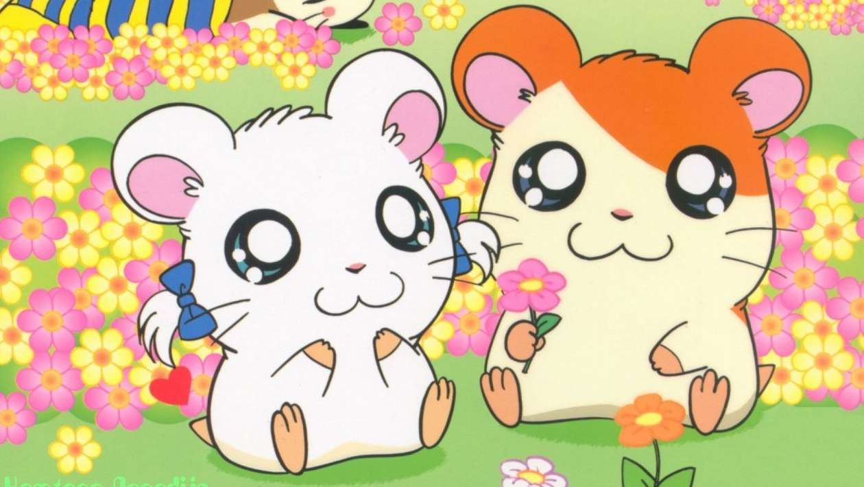 Retour en enfance : comment se termine Hamtaro ?