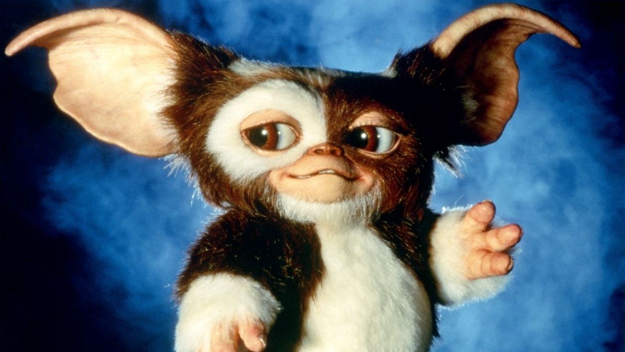 Quiz Gremlins : réponds à ces 5 questions, on te dira si tu pourrais adopter Gizmo ou non