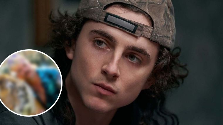 Don&rsquo;t Look Up : la drôle d&rsquo;inspiration derrière la coupe de cheveux de Timothée Chalamet dans le film