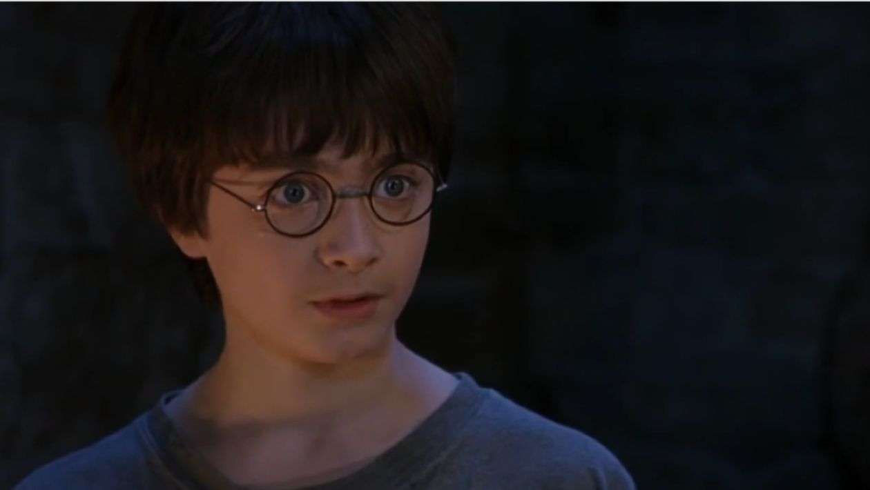 Harry Potter : vous ne verrez plus le héros comme avant avec cette info sur son passé chez les Moldus