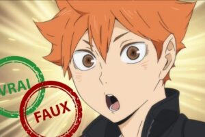 Haikyu!! : impossible d&rsquo;avoir 10/10 à ce quiz Vrai ou Faux sur Hinata