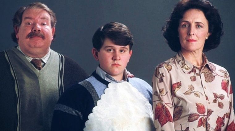 Quiz Harry Potter : ces infos sur toi nous dirons si t&rsquo;es plus Vernon, Pétunia ou Dudley Dursley