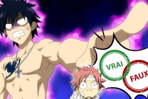 Quiz Fairy Tail : impossible d&rsquo;avoir 10/10 à ce vrai ou faux sur Grey Fullbuster