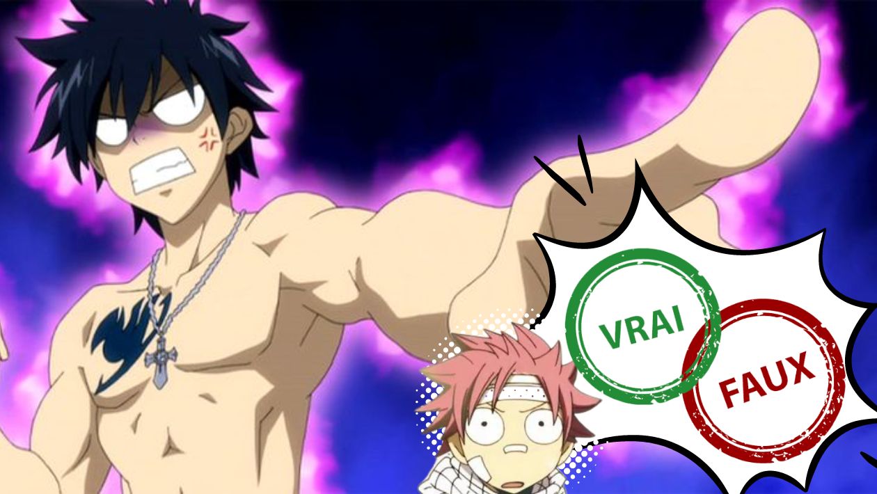 Quiz Fairy Tail : impossible d&rsquo;avoir 10/10 à ce vrai ou faux sur Grey Fullbuster