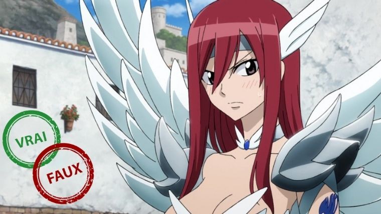 Quiz Fairy Tail : impossible d&rsquo;avoir 10/10 à ce vrai ou faux sur Erza