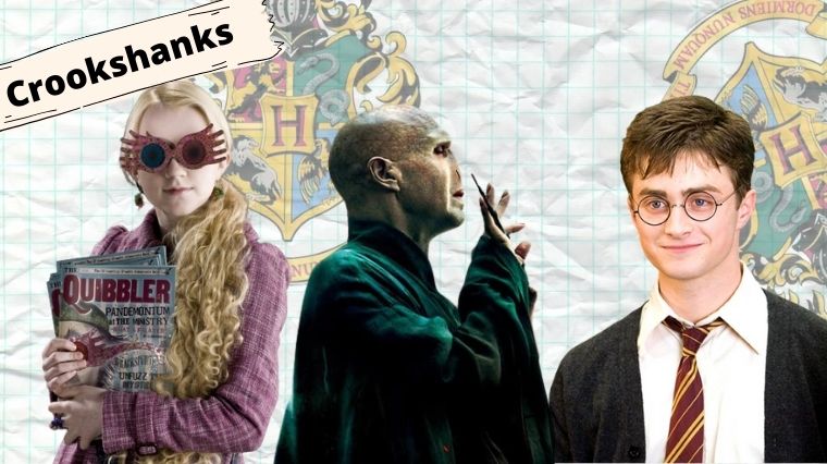 Quiz Harry Potter : seul un fan saura trouver ces persos grâce à leur nom en anglais