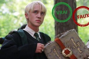 Harry Potter : seul un vrai fan aura 10/10 à ce quiz vrai ou faux sur Drago Malefoy