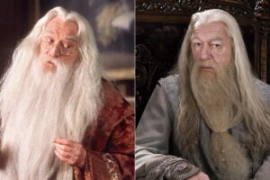 Harry Potter : pourquoi ces 11 acteurs ont-ils été remplacés dans la saga ?