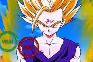 Dragon Ball Z : impossible d&rsquo;avoir 5/5 à ce quiz Vrai ou Faux sur Gohan