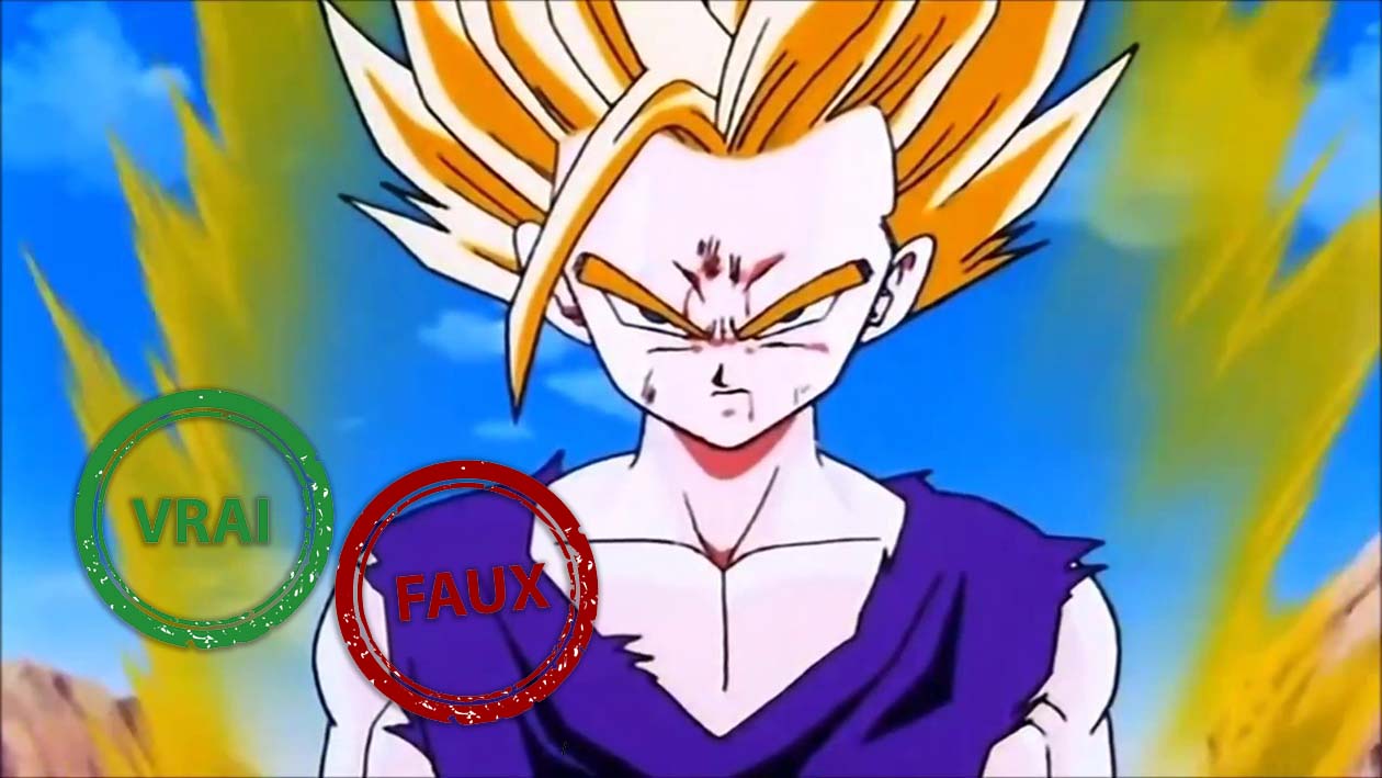 Dragon Ball Z : impossible d&rsquo;avoir 5/5 à ce quiz Vrai ou Faux sur Gohan