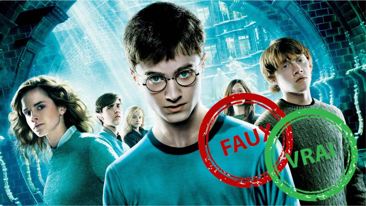 Harry Potter et l’Ordre du Phénix : seul un vrai fan aura 10/10 à ce quiz vrai ou faux sur le film