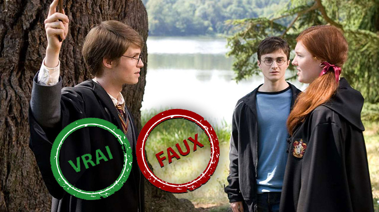 Quiz Harry Potter : impossible d&rsquo;avoir 10/10 à ce Vrai ou Faux sur la famille Potter