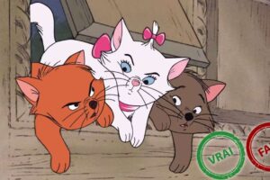 Les Aristochats : t&rsquo;as une excellente mémoire si t&rsquo;as 10/10 à ce quiz vrai ou faux sur le Disney culte