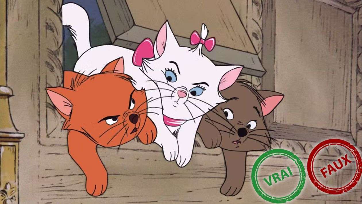 Les Aristochats : t&rsquo;as une excellente mémoire si t&rsquo;as 10/10 à ce quiz vrai ou faux sur le Disney culte