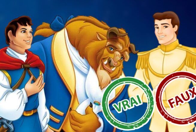 Disney : impossible d’avoir 5/5 à ce quiz vrai ou faux sur les Princes