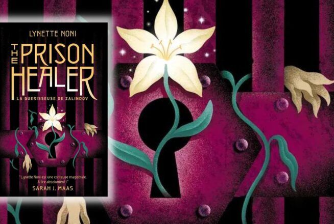 The Prison Healer : 5 bonnes raisons de découvrir ce roman fantasy