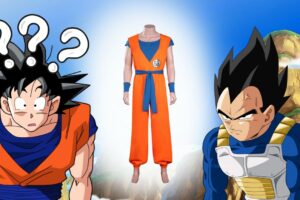 Quiz : à quel perso de Dragon Ball appartient cette tenue ?