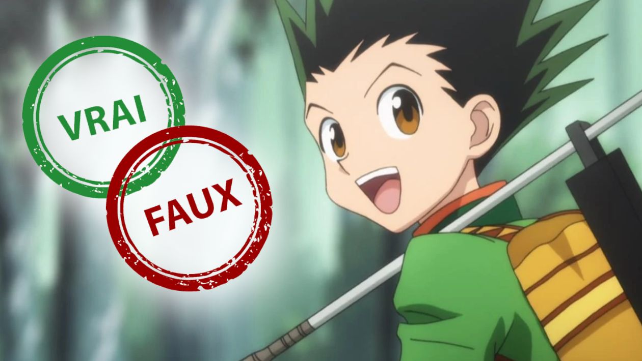 Quiz Hunter x Hunter : impossible d&rsquo;avoir 5/5 à ce vrai ou faux sur Gon