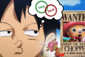 One Piece : seul un fan aura 7/10 ou plus à ce quiz vrai ou faux sur les primes