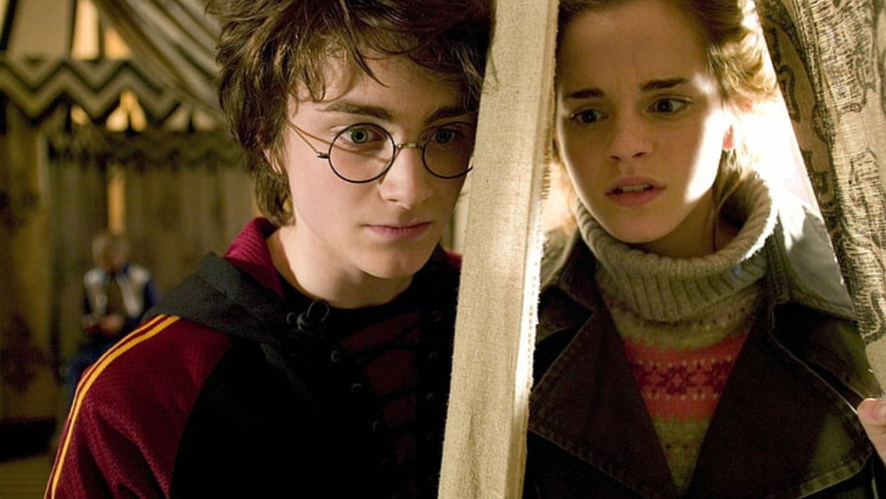 Quiz « qui a fait ça ? » : Harry Potter, Hermione Granger ou les deux ?